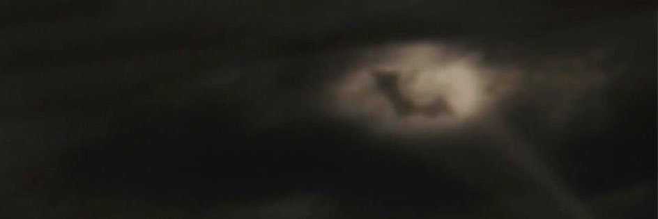 saj banner
