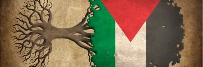 AmirYoosefi's profile banner image