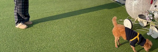 _zeee_Q Profile Banner