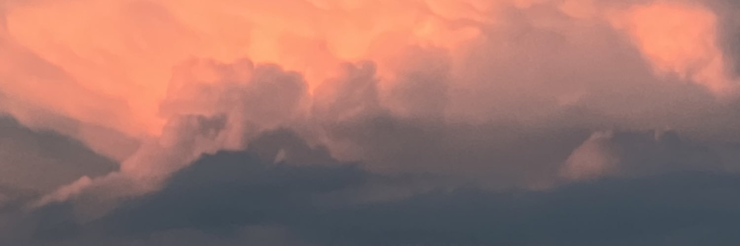 brinnalbrecht's profile banner image