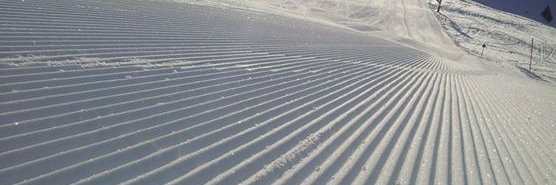 skiingfurlongs's profile banner image