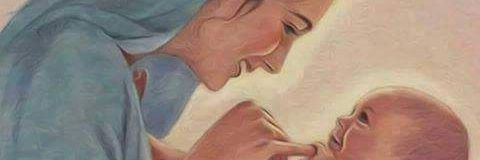 SalinSania's profile banner image