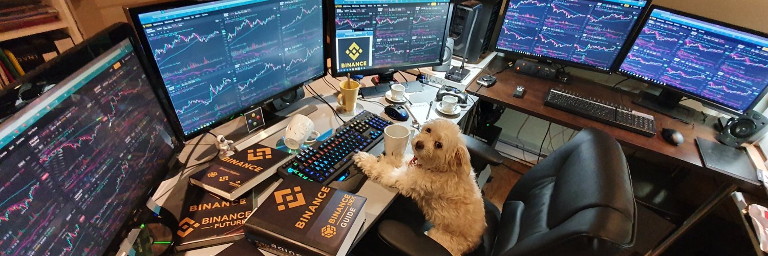 xnrxq's profile banner image
