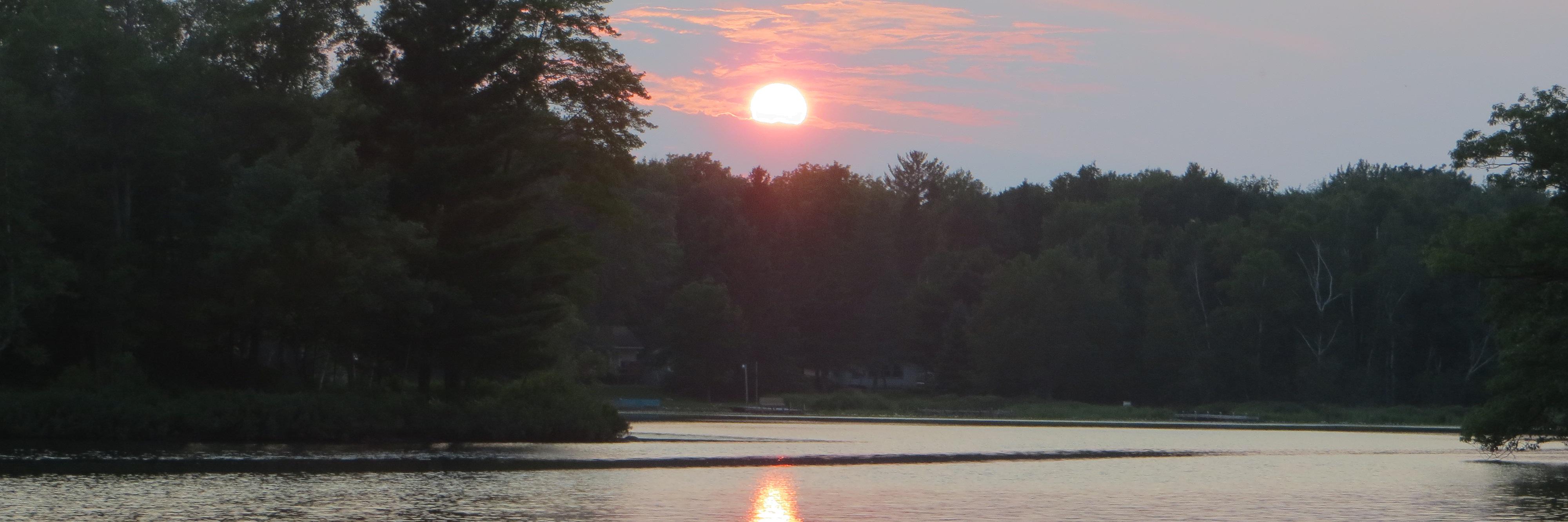 PattyShinners's profile banner image