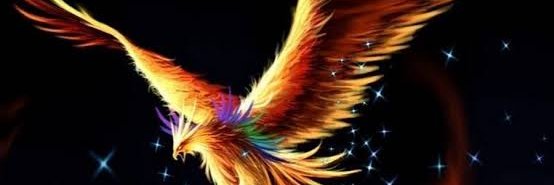 AnmolParate's profile banner image
