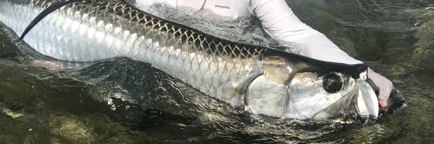 L. Mark Weeks | #1 Amazon Bestselling Author banner