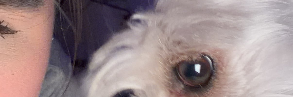 itzel__gomez's profile banner image