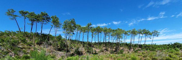 Julian_mrcx Profile Banner