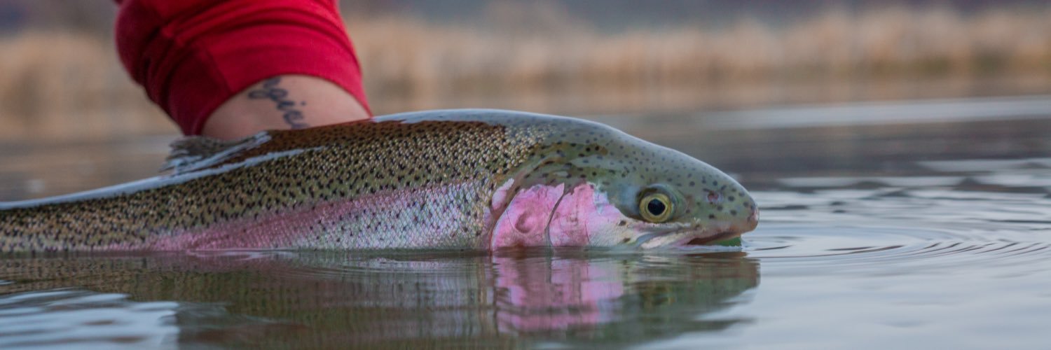 H&H Outfitters banner