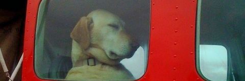 2tom2tom2106's profile banner image