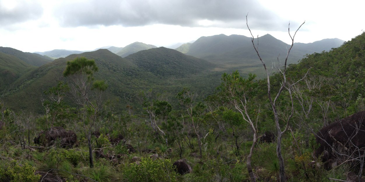 MattAMRenner's profile banner image