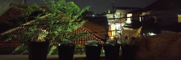 pusziingg Profile Banner
