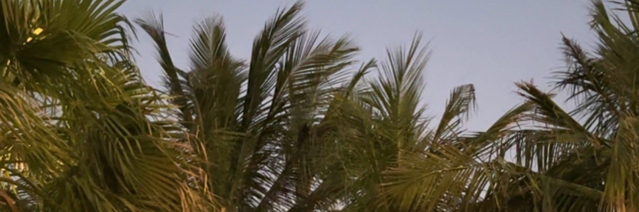 ssals79's profile banner image