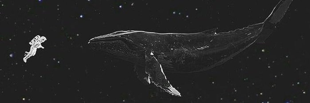ouriexol2's profile banner image