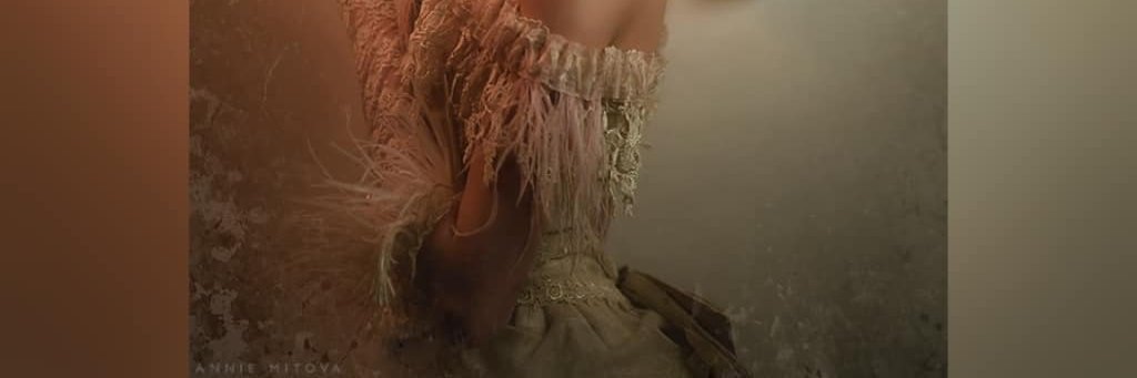 fallaciousupe banner