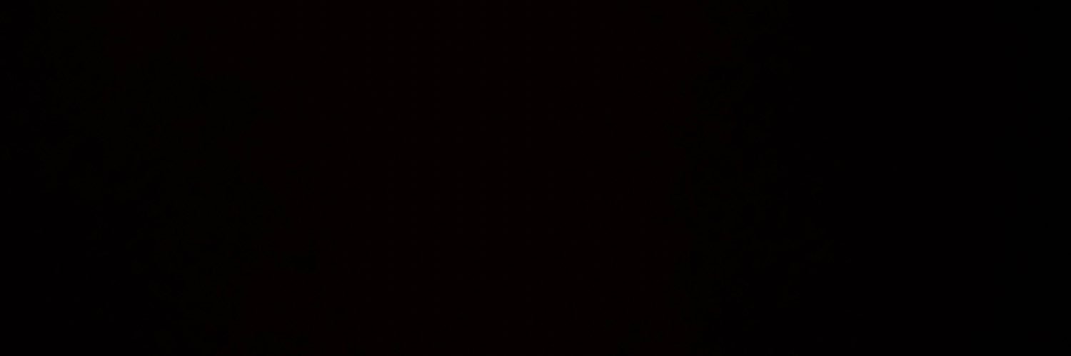 rii33_'s profile banner image