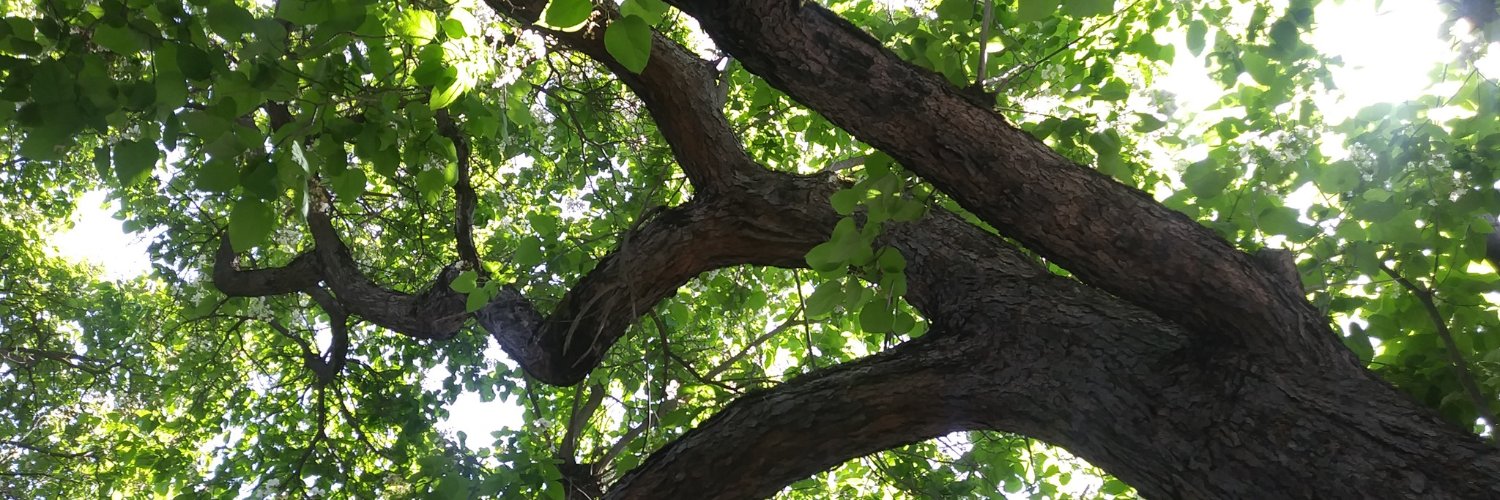 Alexandra Reagan banner