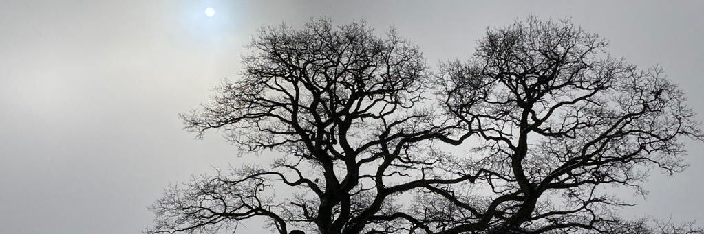 Odinsden9's profile banner image
