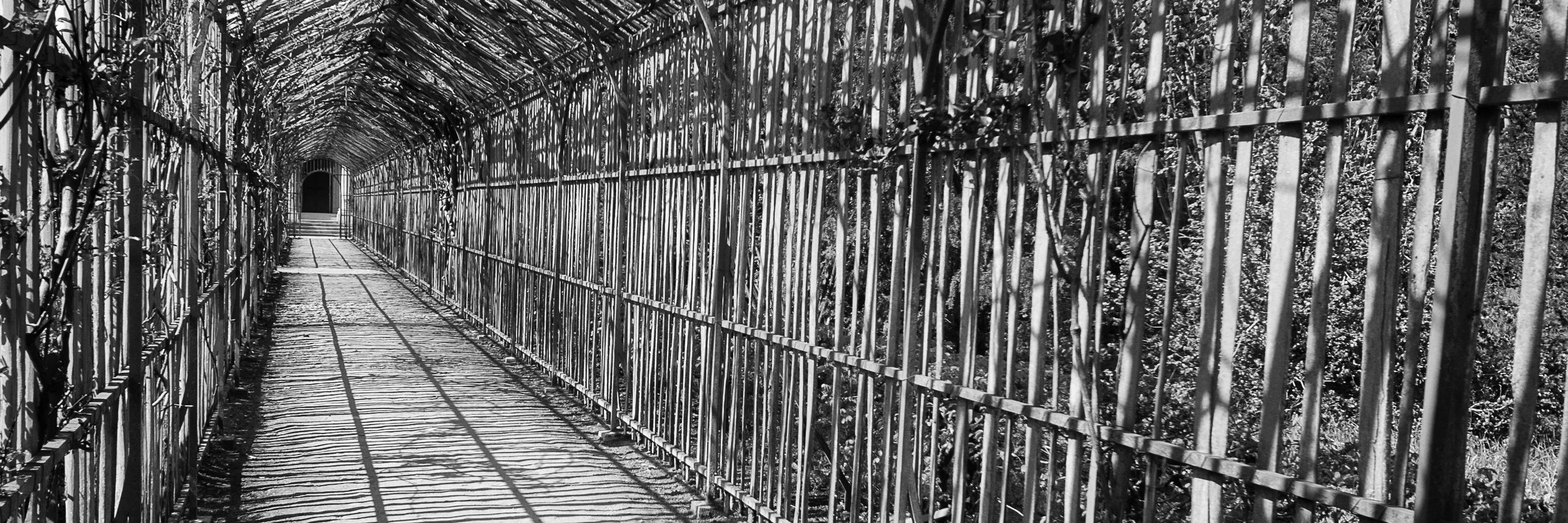 Chris Johnson banner