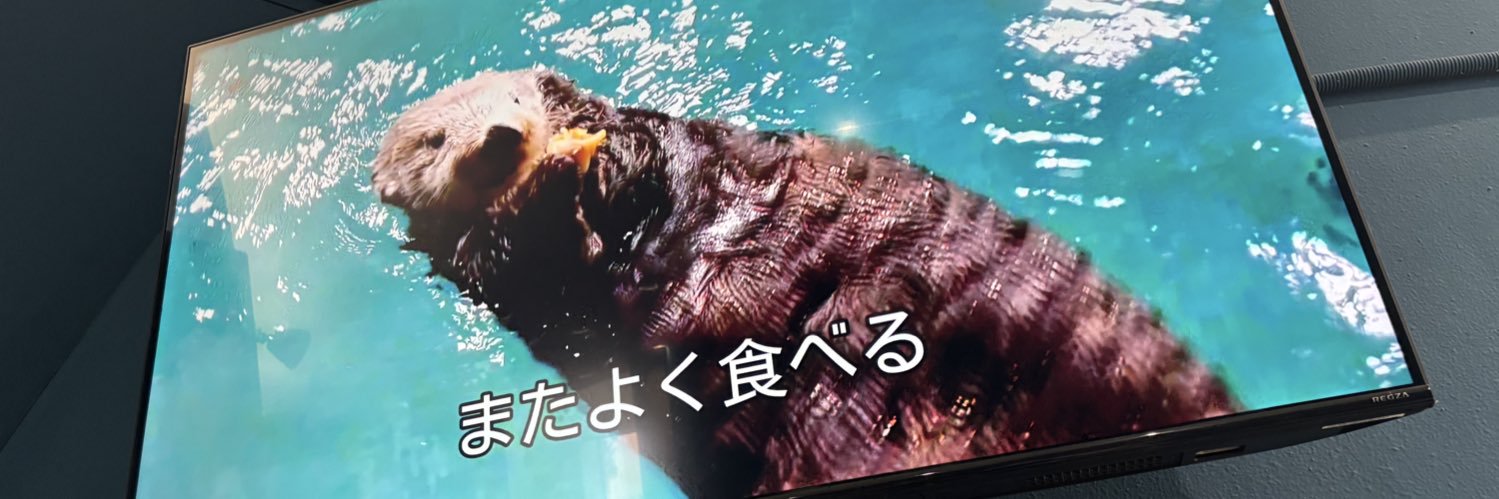 ri___12___o's profile banner image
