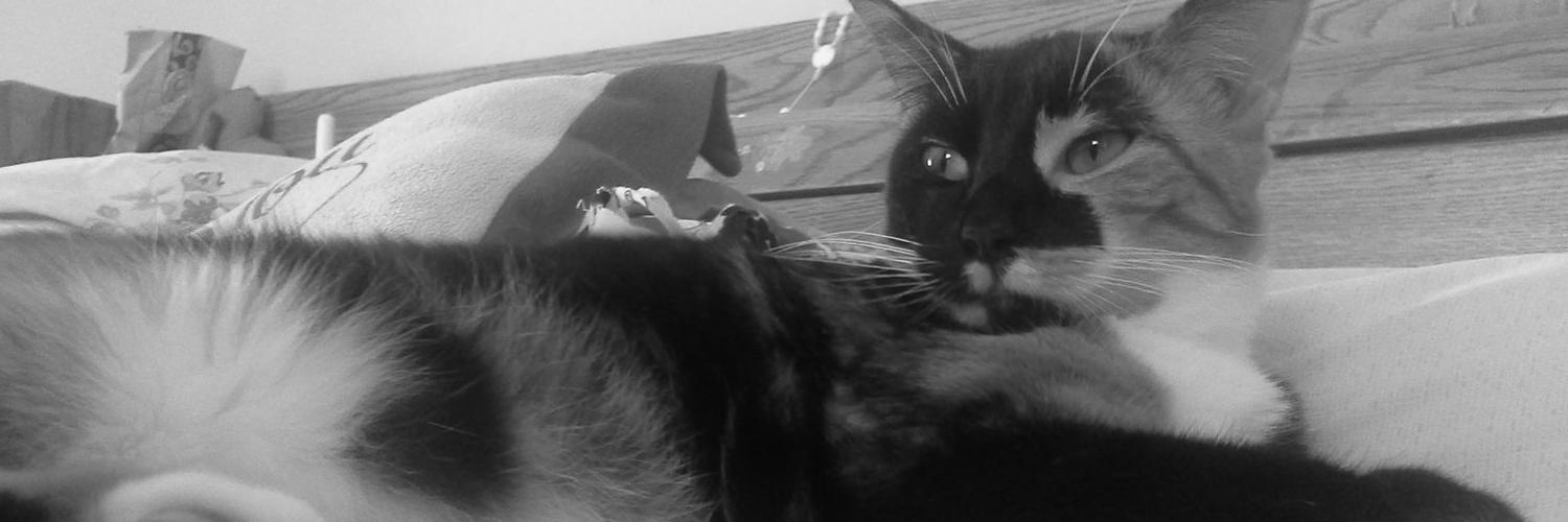 Hope_M_king's profile banner image