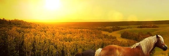 SabatMario's profile banner image