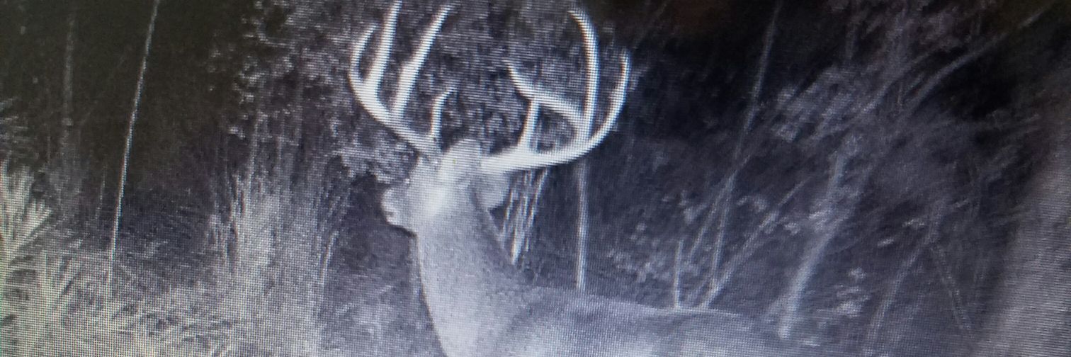 rmcleod1958's profile banner image