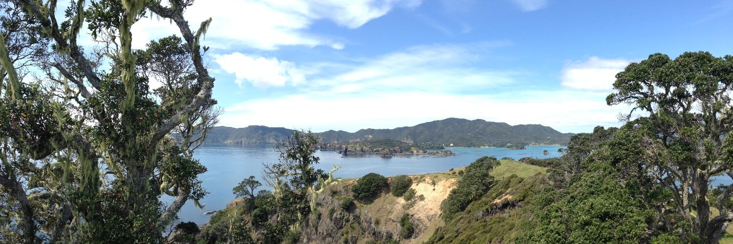 Saskia Maarleveld banner