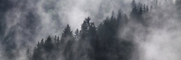 CanTrueCrime Profile Banner