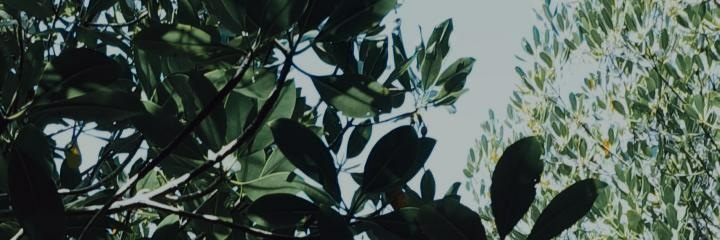 kathtooool's profile banner image