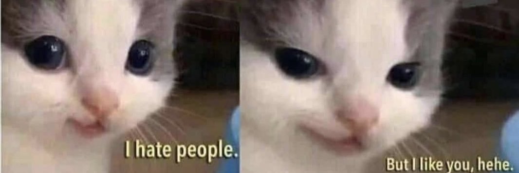 amanda_ann2's profile banner image