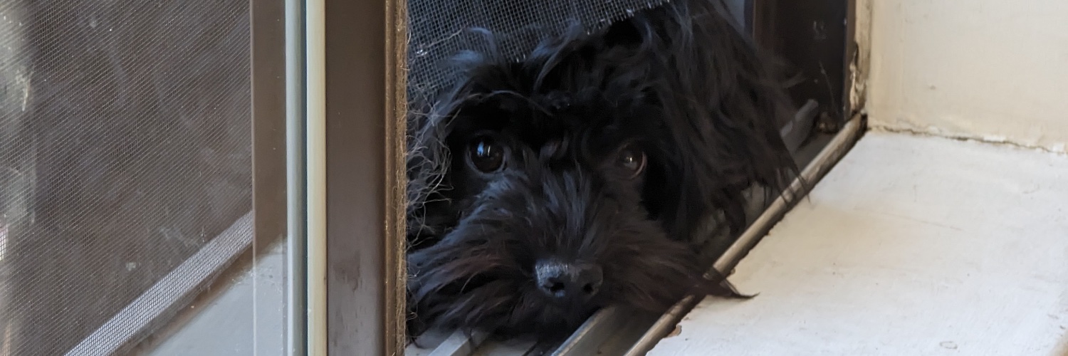 Marjorie 🌎🌄 banner