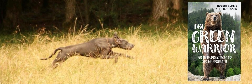 RobertScheib1's profile banner image