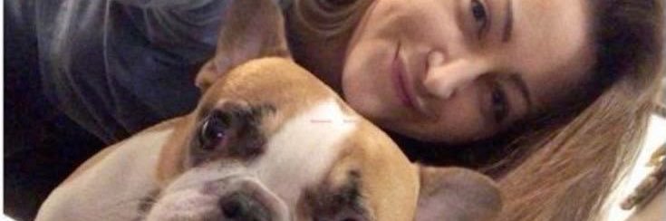 preciousalliso's profile banner image