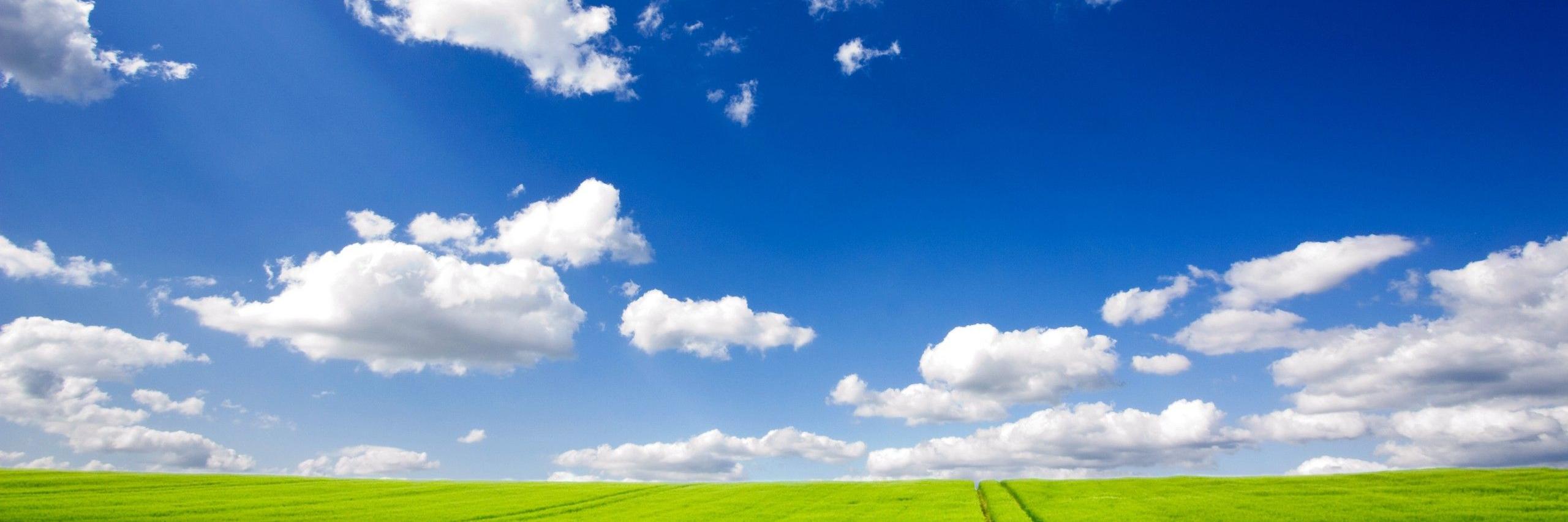 FSED2021's profile banner image