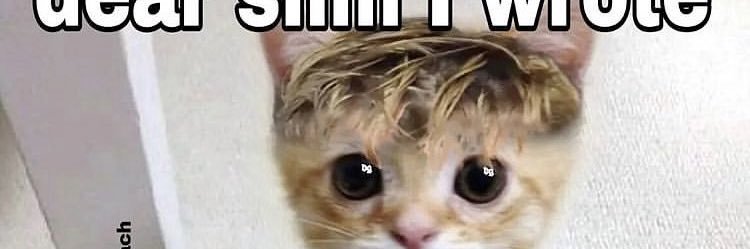 SnailMllk's profile banner image