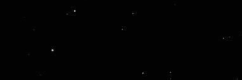 Naif banner