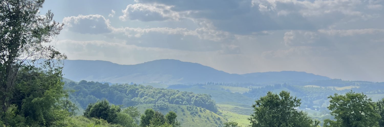 WadeZane's profile banner image