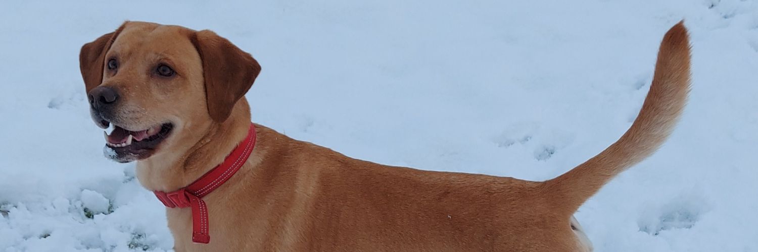 BLyle32's profile banner image