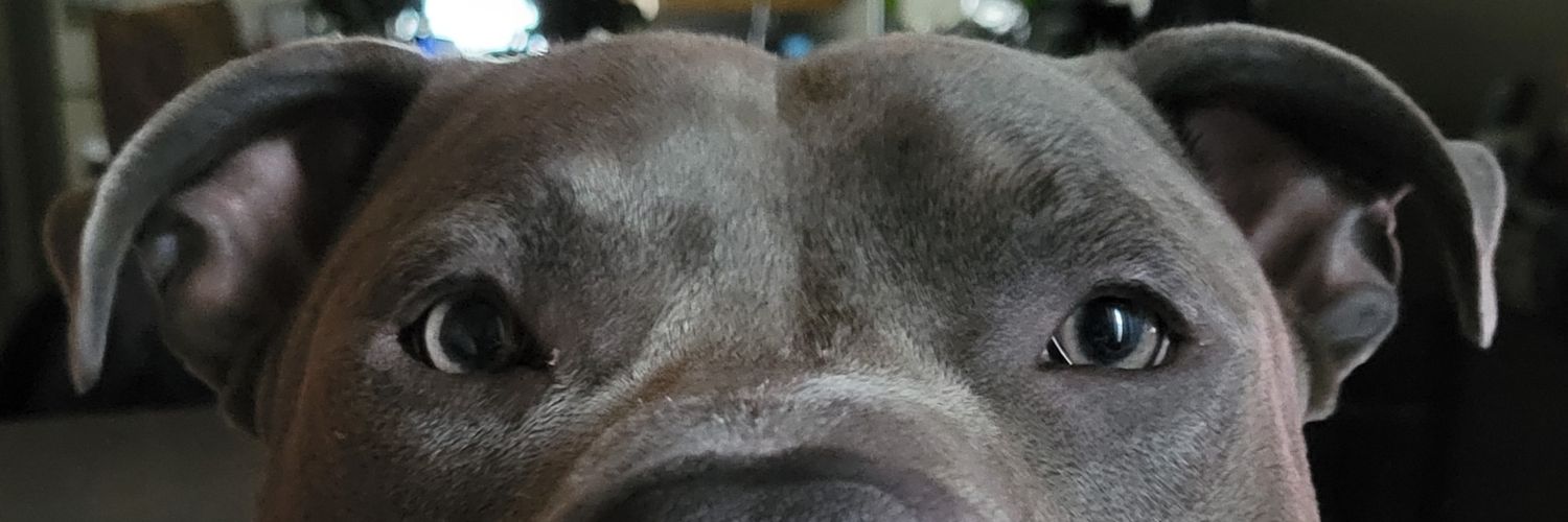 Veronicaaaa_25's profile banner image