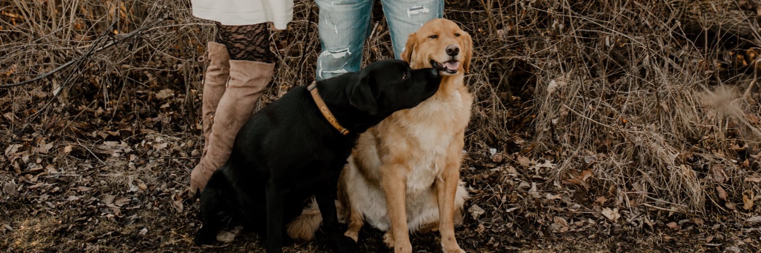 ChloDailey's profile banner image