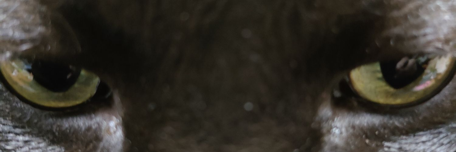takezoow's profile banner image