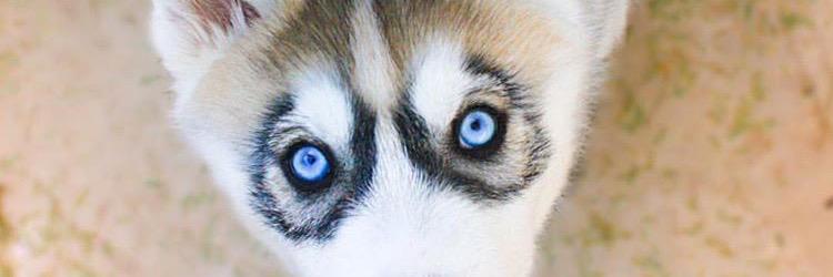 KaylaRazz's profile banner image