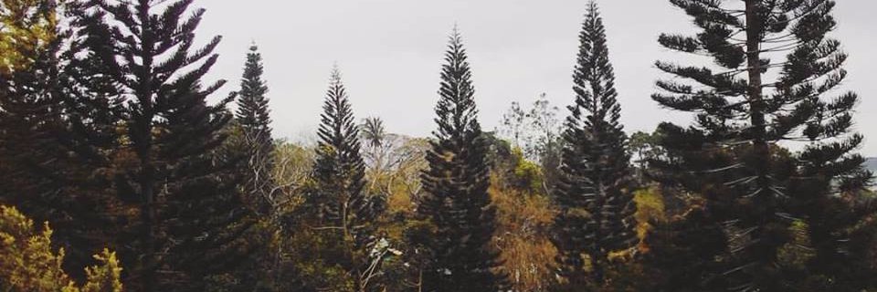krissela23's profile banner image