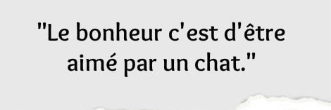 Chat_Mallow ⚖️ banner