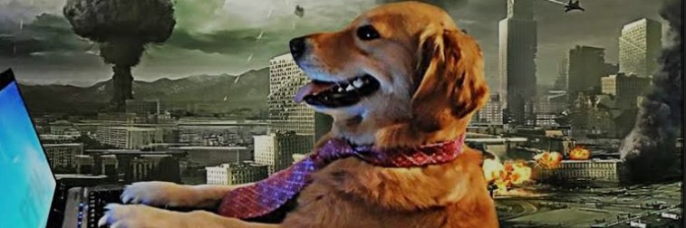 tuca prodan banner