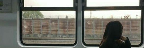 elena_pdn's profile banner image