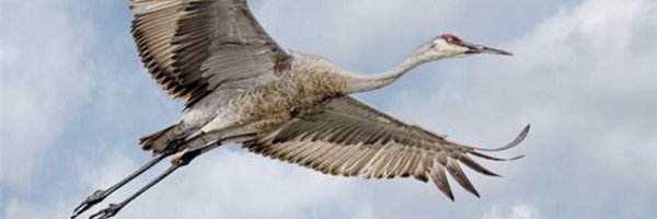StockRetail Profile Banner