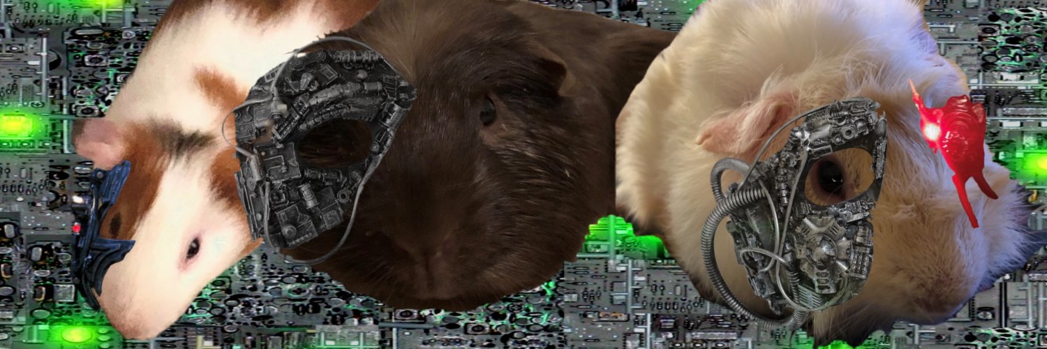 The Guinea Pig Collective 🐾🐾🐾 banner
