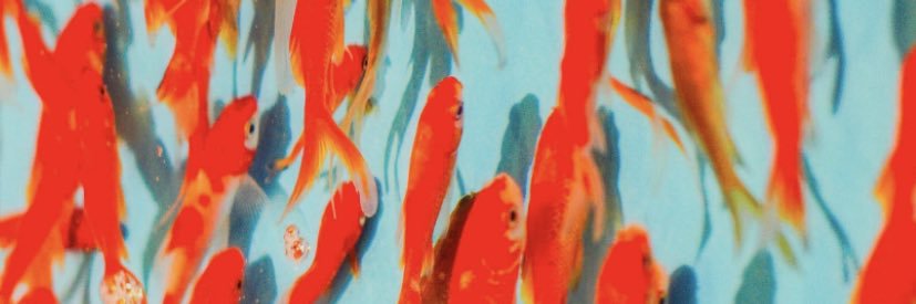 NFT 📈 banner